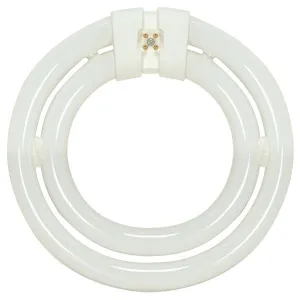 Satco S6578 Fluorescent T6
