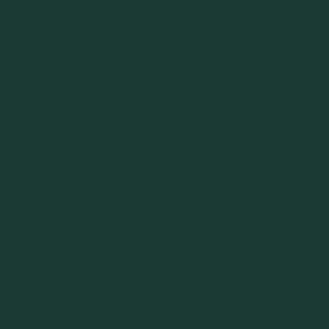 Three Quarter Sleeve Solid Polo | Malachite 30J